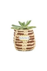 Mini Hasır Saksı / Kutu (PALMİYE YAPRAKLARI VE GERÇEK DERİ).